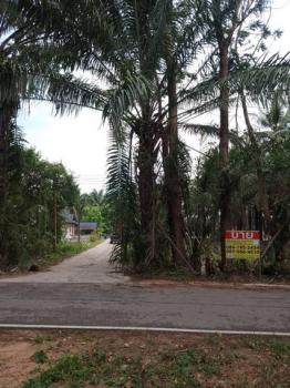 ��ª���� �� zionasset1