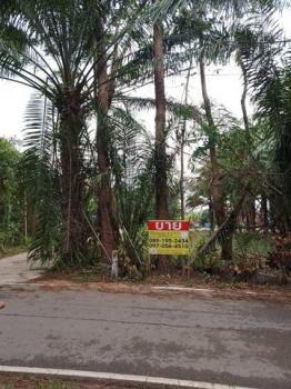 ��ª���� �� zionasset1