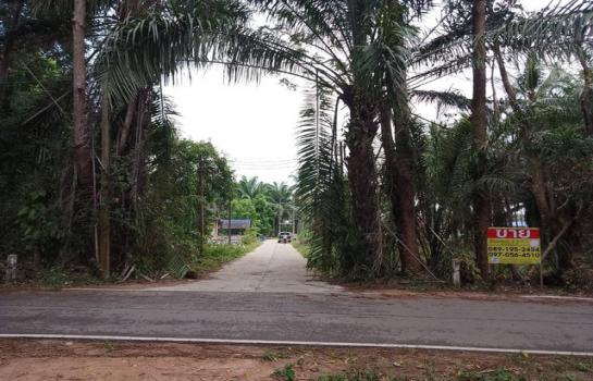 ��ª���� �� zionasset1