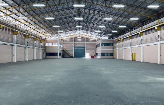 �����ҹ �� AssetD4U