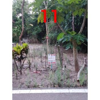 ��ª���� �� zionasset1