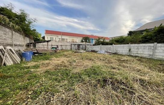 ��¾��⢹� �� kongpl