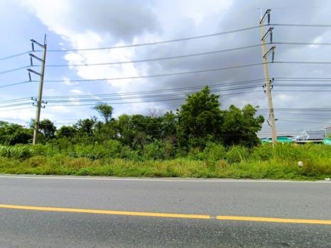 �ҧ�� �� Estate Corner