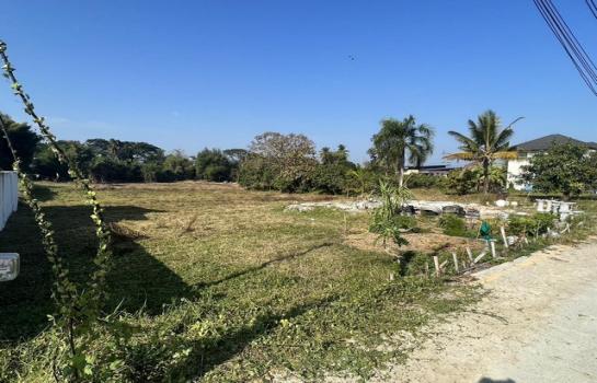 ������ �� tayapornaik1