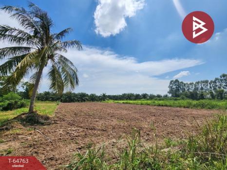 �ź��� �� The Best Property Agent