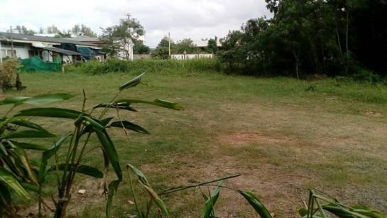 �ҧ�˭� �� Estate Corner