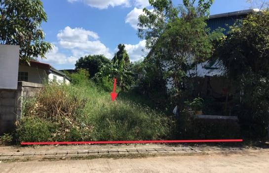 ���˹ͧ������� �� compos2566