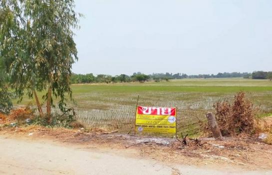 ��������� �� zionasset1