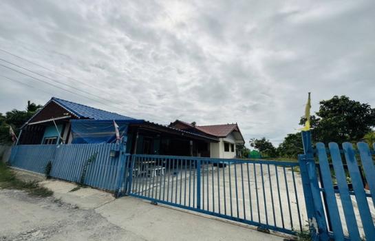 �Ҵ��кѧ �� Jyn Property