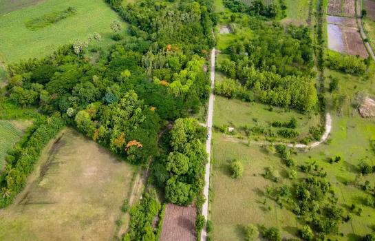 ��к��� �� rattana27