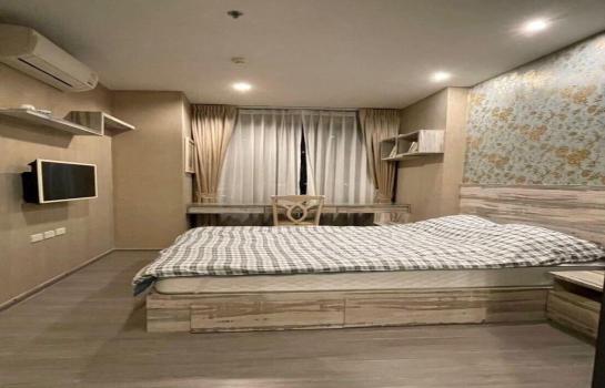 �ҧ�ѡ �� M Property