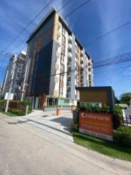 ����Ҫ� �� sopa