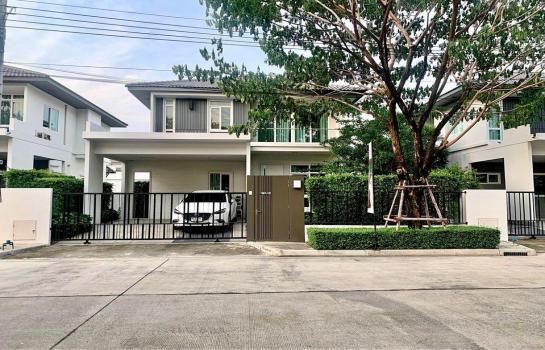 ��»����� �� coasset22