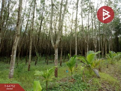 ��º�ҹ ���ͧ��Ҵ ��Ҵ