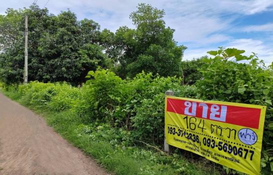 ������ �� zionasset1