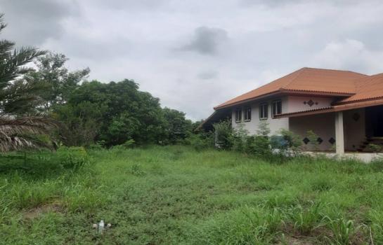 ��ҹ�� �� Noname2023