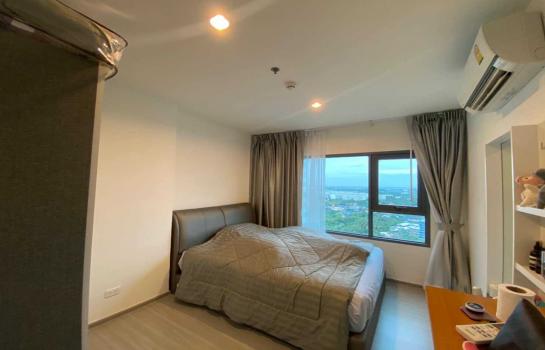 ���ͧ �� M Property