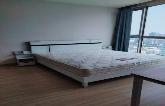 ��ا෾ �� M Property