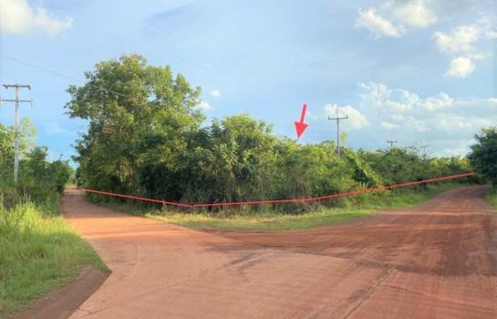 ����� �� panaya.opalopal