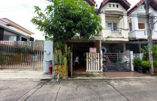 �չ���� �� �����¹��� ���˹����ѧ�������Ѿ��