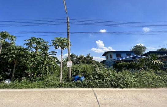 ���ͧ �� ����ѷ �繷��� ��� ���;������ �ӡѴ