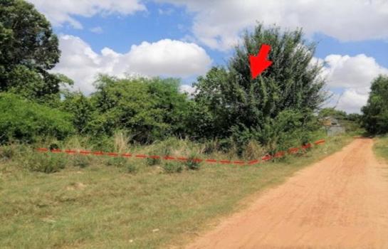 ����شøҹ� �� panaya.opalopal