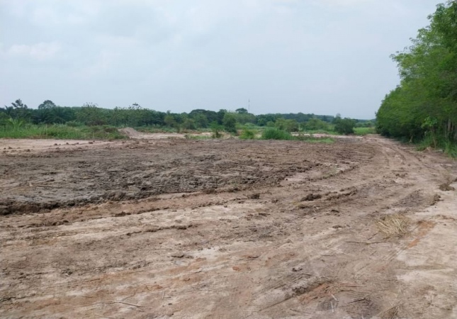 ���ͧ �� A House property