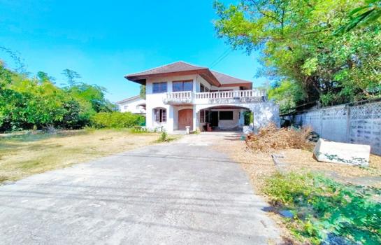 ��º�ҹ 19,999,999 �ҷ