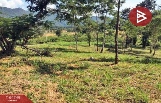 ����Ҫ���� �� The Best Property Agent