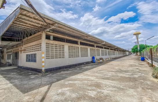 �ç�ҹ 9 ���