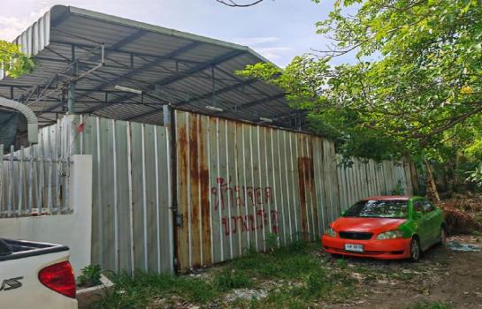 ��طû�ҡ�� �� Pukpik.TNC