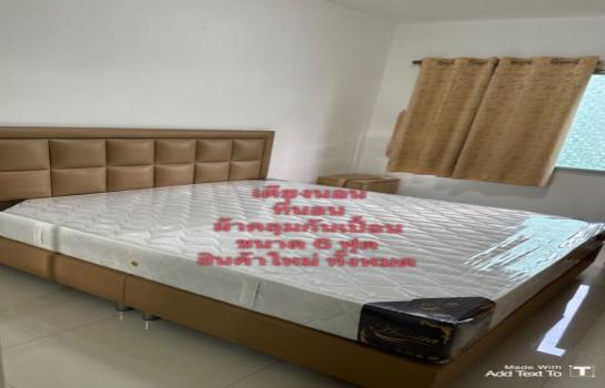 ��ا෾ �� M Property