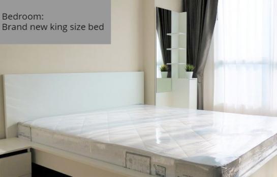 ���ͧ �� M Property