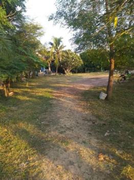 �ҧ�� �� northern1