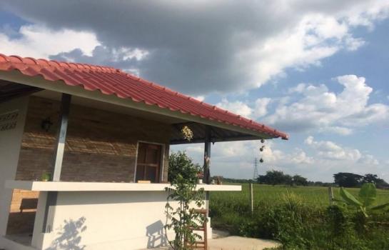 ������ �� northern1