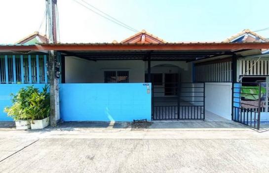 ��з���ẹ �� zionasset1