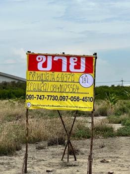 ������ �� zionasset1