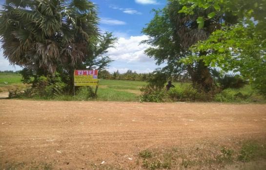 �� �� zionasset1