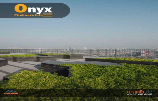 �����Ҥ͹� ����