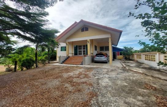 ��º�ҹ �͹�����û��