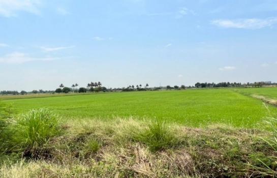 �����к��� �� Jyn Property