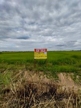 ����ʧ �� zionasset1