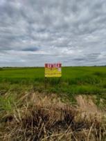 ��·��Թ �Ҥһ�С�Ȣ�� 2,700,000 �ҷ