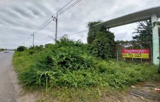 ��ҹ �� zionasset1