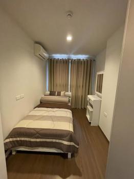 ��¾��⢹� �� �͡���