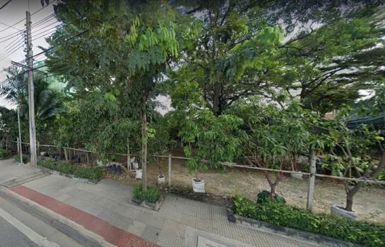 ���觪ѹ �� HarrisonTH