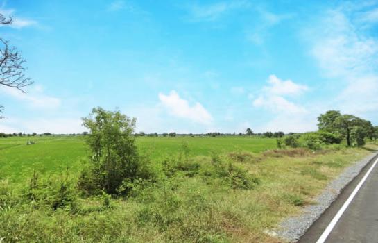 ��ͧ��ǧ �� Perfect Property1