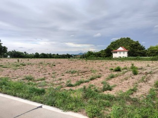 ที่ดิน pattaya ที่ดิน pattaya