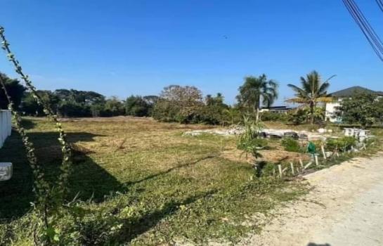 �ѹ���� �� northern1