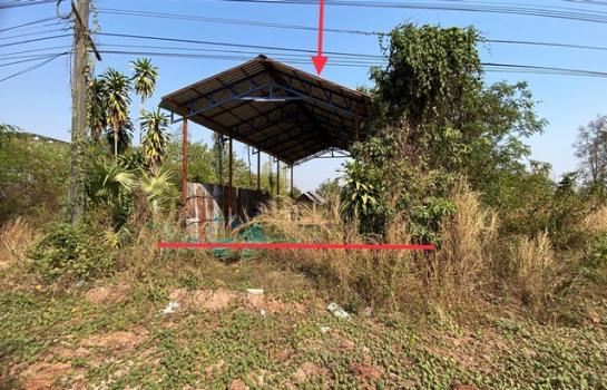 �� �شøҹ� �� panaya.opalopal